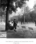 La Règle du Jeu - chaisière