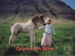 Iceland no terrorist_Osama_bin