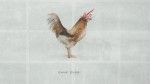 La Règle du Jeu - sony-pub-bleus