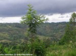 2005_mal_burundi_paysage_003