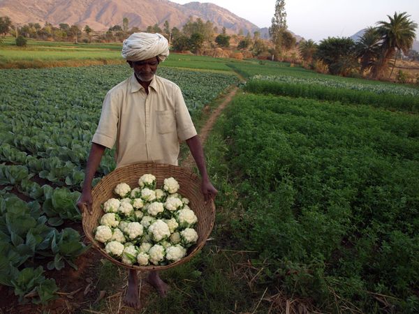 ferme_inde