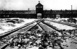 La Règle du Jeu - Le camp d'Auschwitz-Birkenau Le camp d'Auschwitz-Birkenau