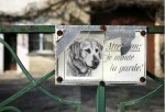 La Règle du Jeu - Le-Chien-des-Le-Pen
