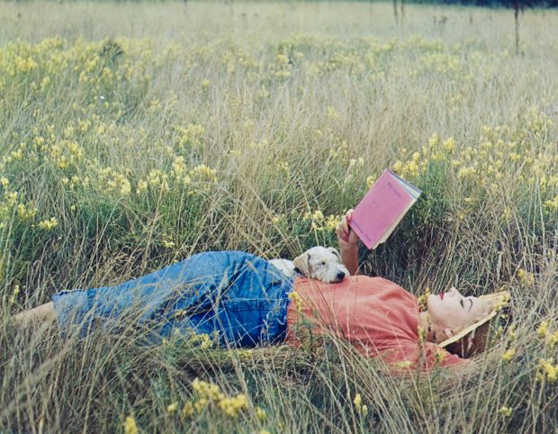 Lisa Fonssagrives-Penn allongée dans un champ d'herbe, lisant le livre Picasso de Gertrude Stein, 1952,