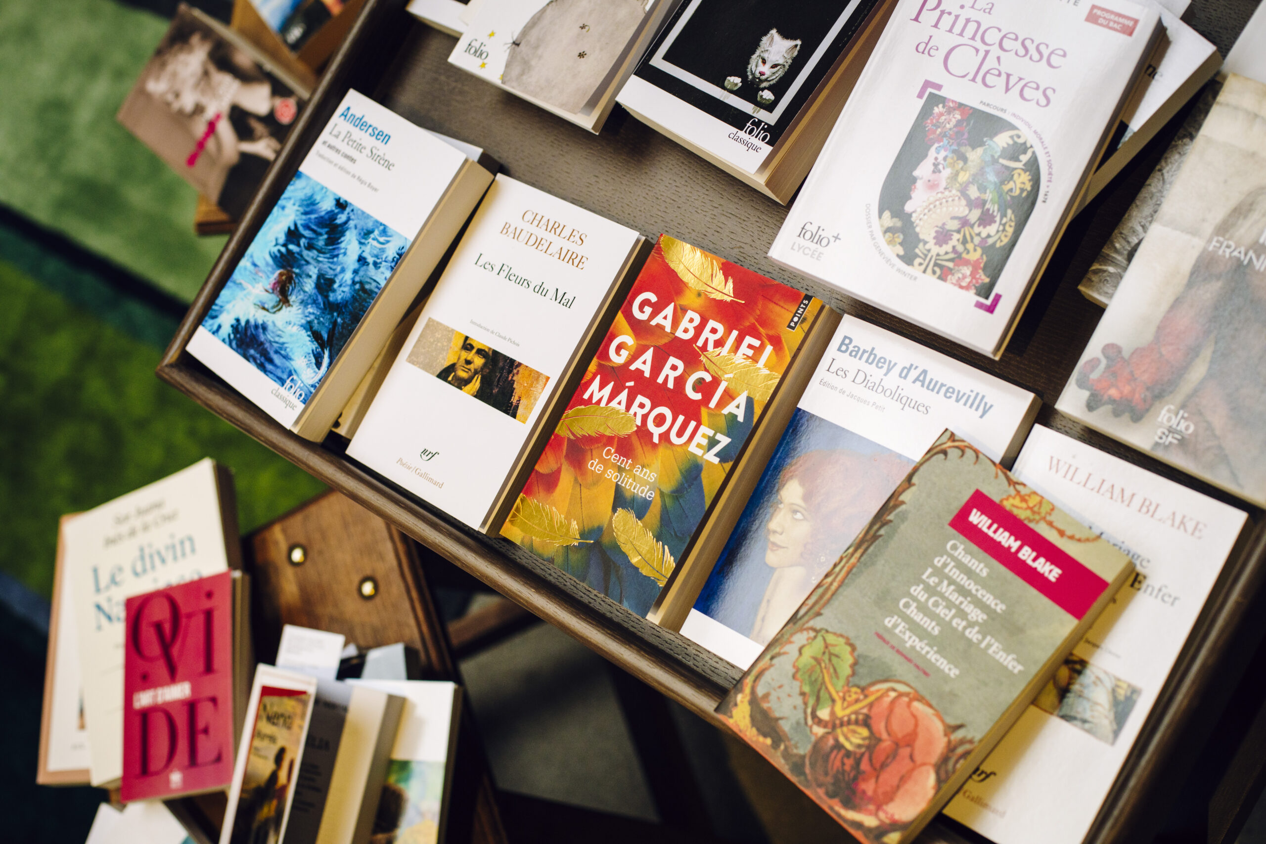 Photo en couleurs de quelques livres de Baudelaire, Andersen, Garcia Marquez, William Blake, Ovide, posés sur une table.