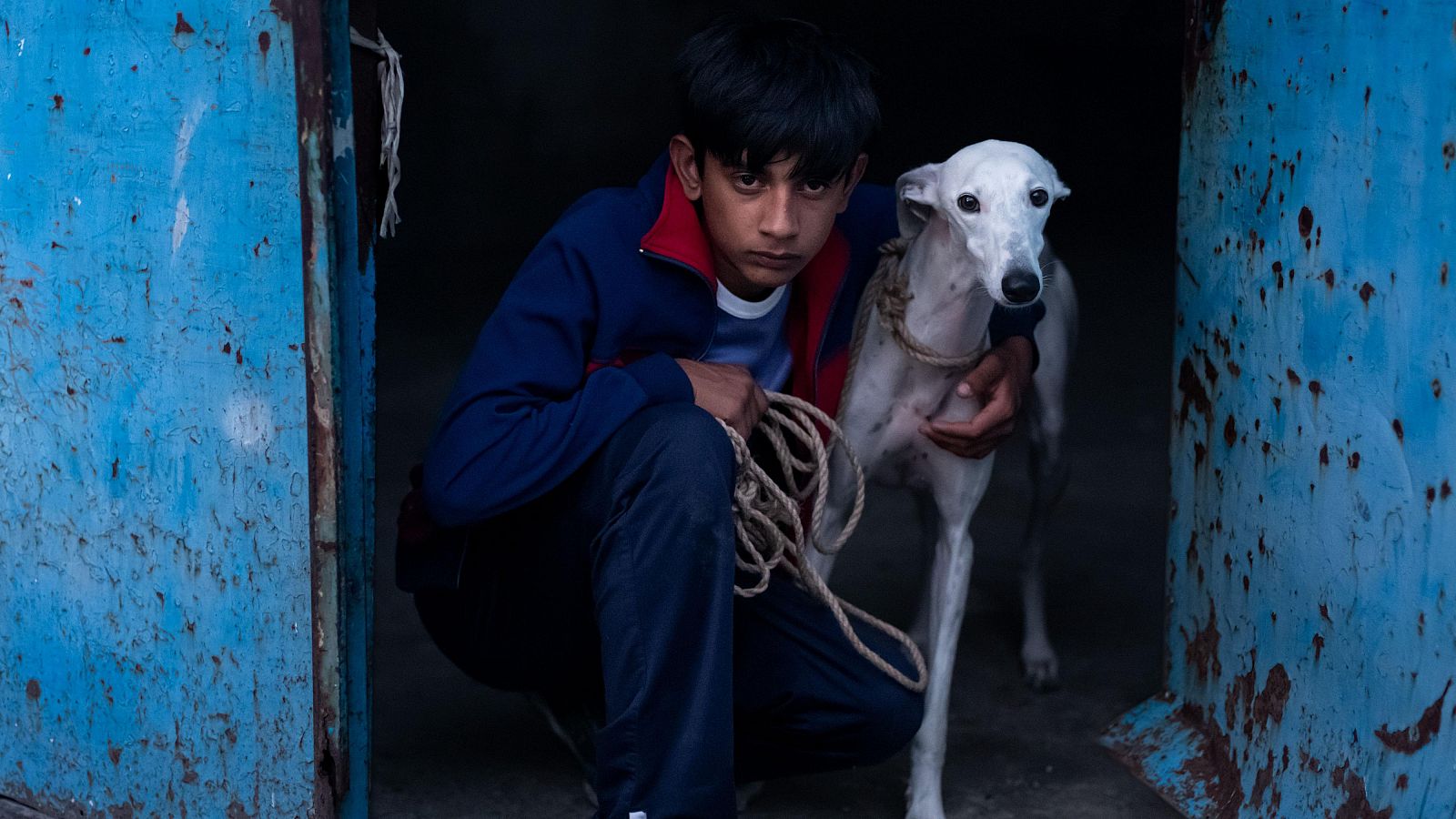 Antonio Fernandez Gabarre (Toni) dans « Ciudad sin sueño », de Guillermo Galoe. Dans un bidonville, l'enfance est accroupi et tient un chien blanc à ses côtés.