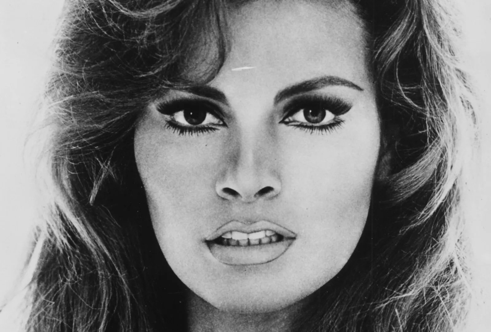 Portrait en noir et plan de Raquel Welch, elle est de face et regarde l'objectif.