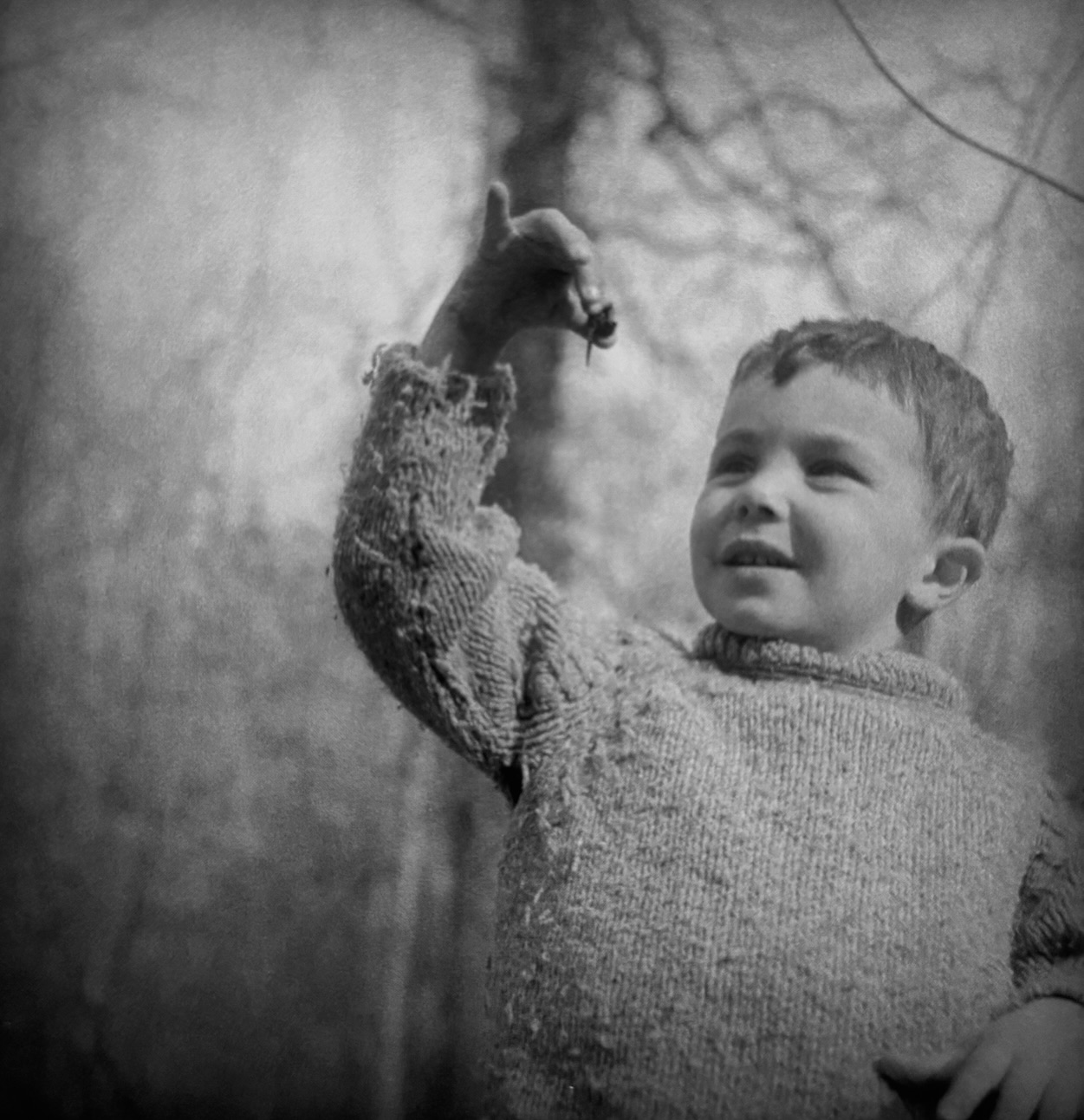Portrait en noir et blanc d'un petit garçon qui tient une fleur entre ses doigts.