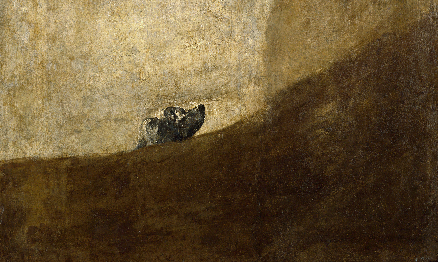 Francisco Goya, « Le Chien », on aperçoit la tête d'un chien derrière une forme marron.