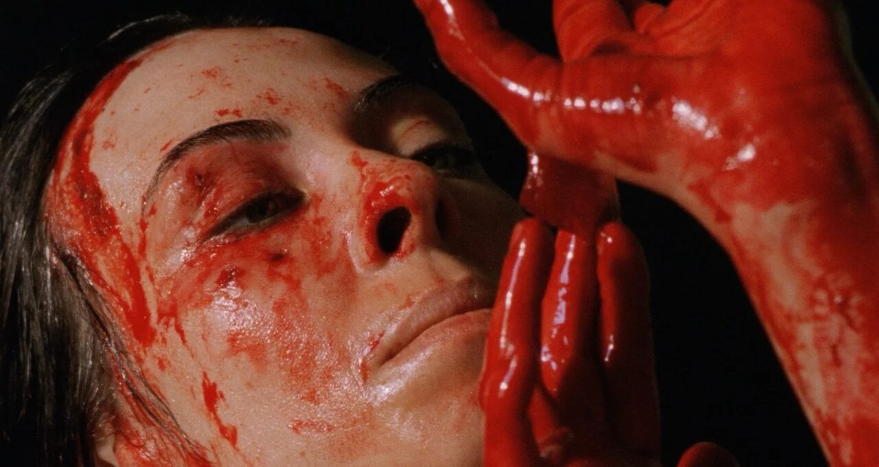 « Dans ma peau » est un long-métrage réalisé en 2002 par Marina de Van, qui y tient également le rôle principal. On la voit le visage et les bras ensanglantés.