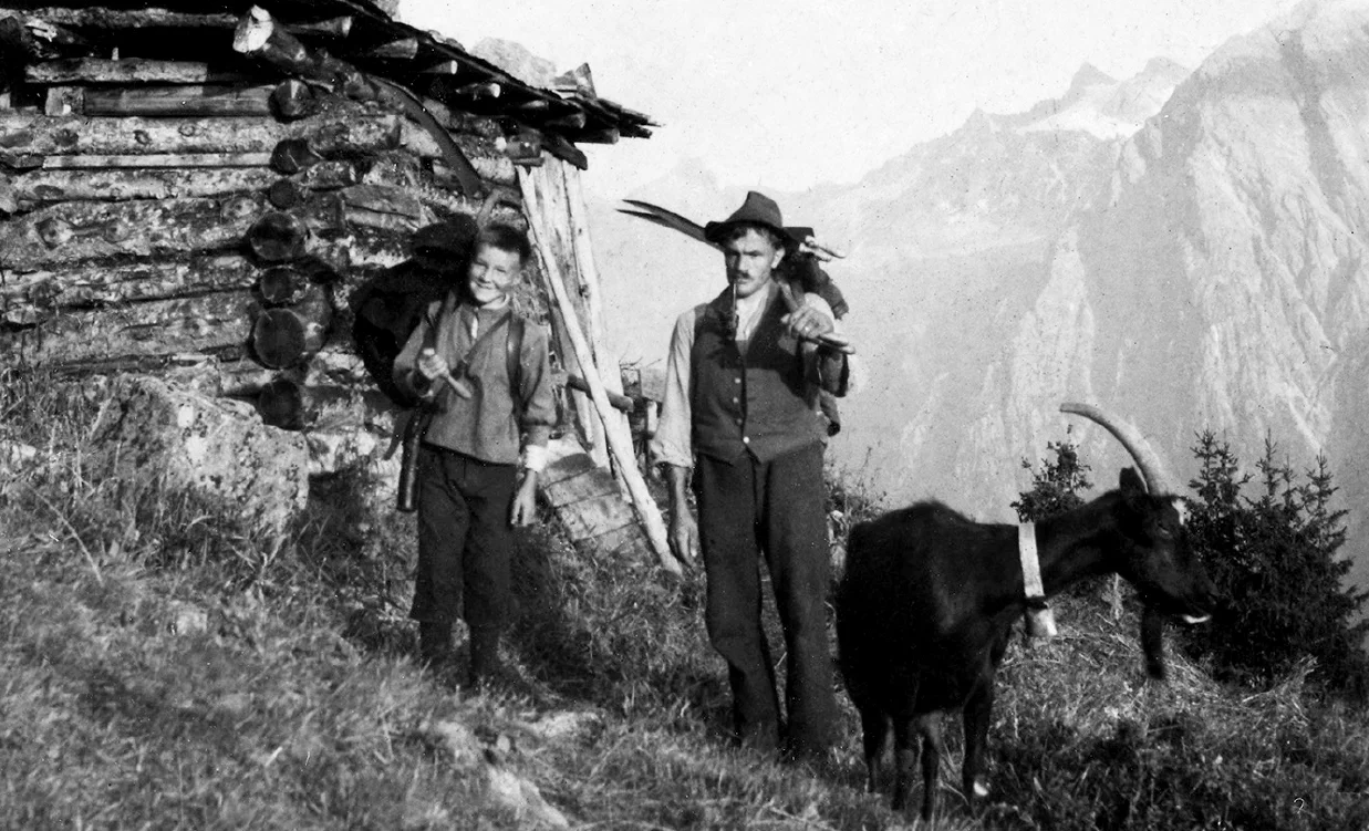 Les Walser pratiquent le fauchage sauvage sur le Pfiffermad (1 950 m), près de Klosters, dans le canton des Grisons en Suisse. Sur cette photo en noir et blanc on voit deux paysans, un père et son fils, près d'une maison en bois dans la montagne, avec un chèvre près d'eux. A la'rrière plan on voit les Alpes Suisse.