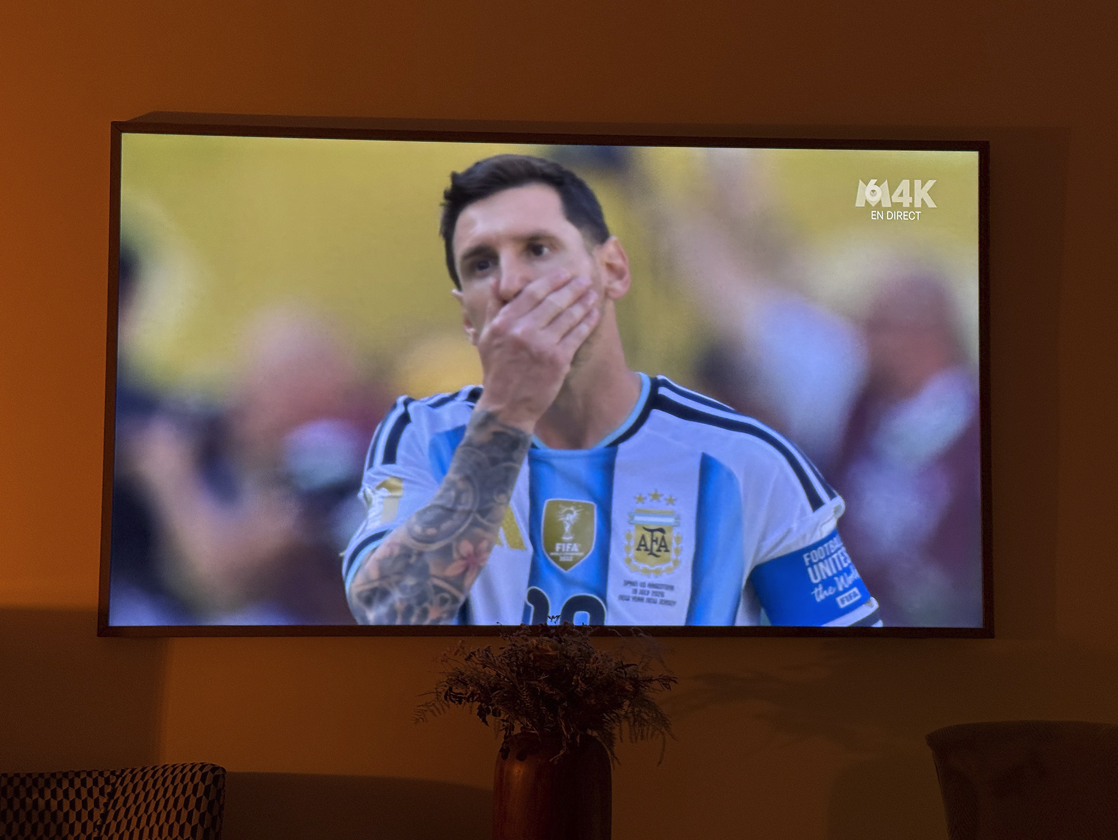 Lionel Messi après l’expulsion de son compatriote Enzo Fernandez en finale de la Coupe du monde.
